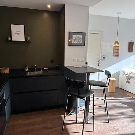 아파트 Duplex Moderne 2 Entre Et Commerces ! 위머로우